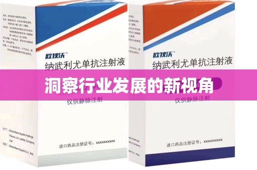 开封洞察行业发展的新视角